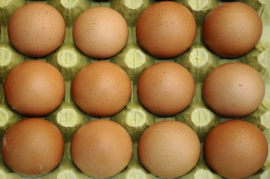 Çiğ bej yumurta yığını
