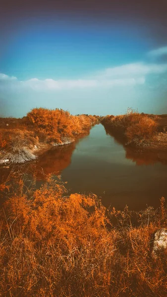 Осенняя Река Гладкой Водой Коричневыми Растениями — стоковое фото