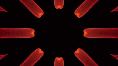 Parlak arka plan, Festival stili.