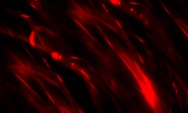 Dekoratif ışıklar arka plan, Festival stili.