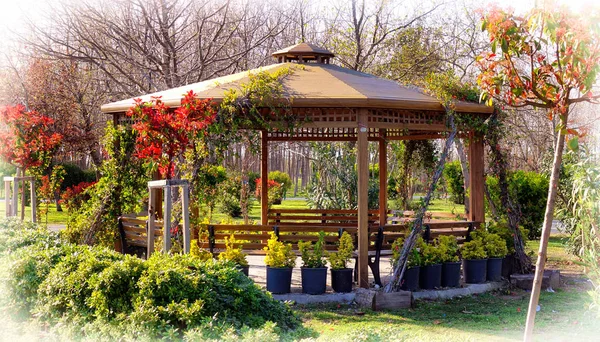 Jardín Primavera Con Cenador Madera — Foto de Stock