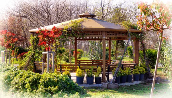 Jardín Floreciente Primavera Con Cenador Acogedor Madera — Foto de Stock