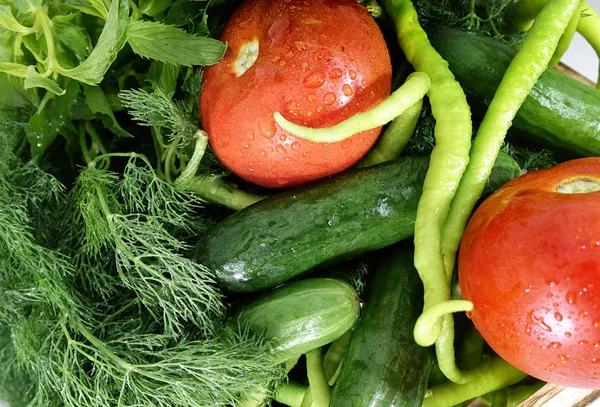 Färska Grönsaker Tomater Paprika Gurkor Och Dill — Stockfoto