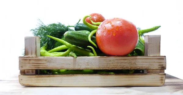 Wooden Crate Fresh Vegetables Tomatoes Peppers Cucumbers Dill — Stock Photo, Image