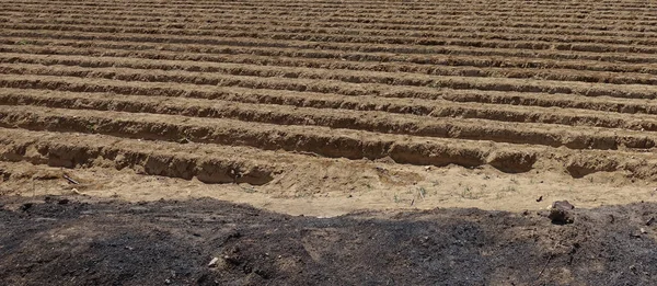 Blick Auf Aufgeräumtes Feld Nach Landwirtschaftlicher Arbeit — Stockfoto