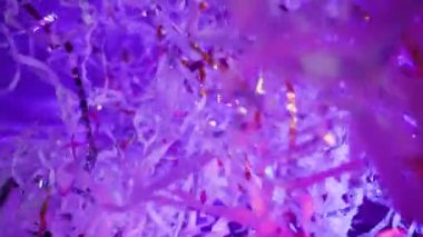 Kağıt partisi, renkli konfeti dağınıklığı ve serpiştirme. 