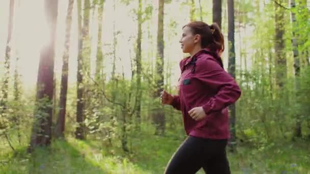朝阳时分活跃的年轻女子在公园里奔跑.健美少女户外训练 — 图库视频影像