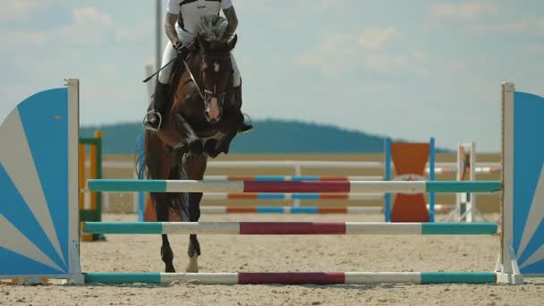Horse jumping over obstacle on sandy parkour riding arena equestrian competition — Stock Video