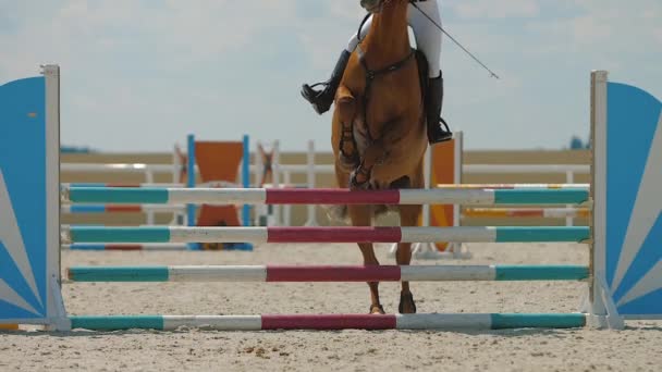 Horse jumping přes bariéru na písečné parkour jezdecké aréně jezdecké soutěže — Stock video