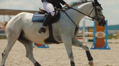 Antrenman parkında dört nala koşan kadın binici açık hava gösteri atlama yarışması