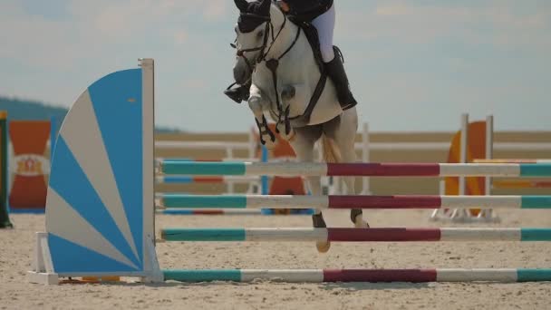 Cavallo che salta oltre ostacolo sulla sabbia parkour equitazione arena competizione equestre — Video Stock