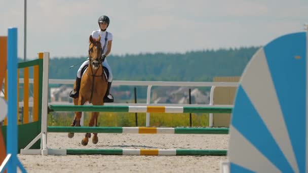 Cavaleiro saltando sobre obstáculo na arena de equitação ao ar livre, esporte equestre — Vídeo de Stock