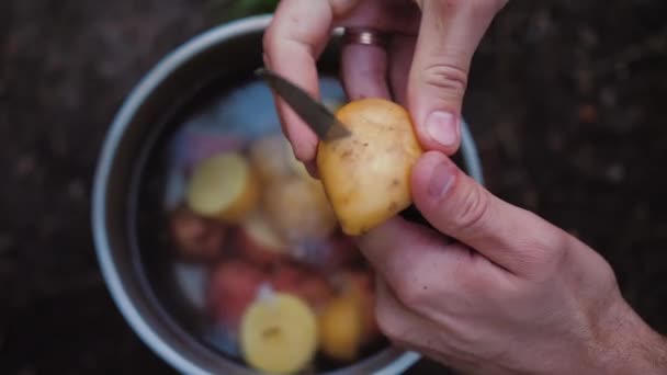 Eller patatesi ikiye böler, iki dilim su, tarla mutfağı. — Stok video