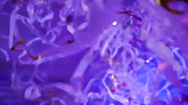 Paper party, colorful confetti scattering and sprinkling. — Stock Video