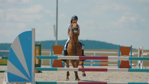 Cavaleiro saltando sobre obstáculo na arena de equitação ao ar livre, esporte equestre — Vídeo de Stock