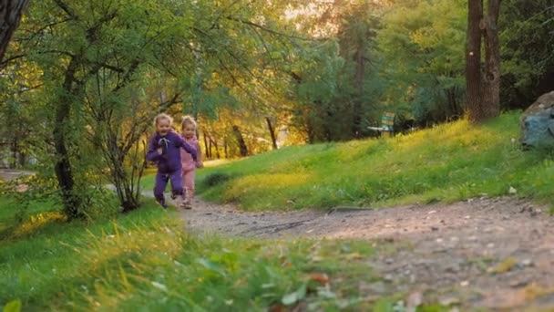 Crianças felizes correm juntas no parque de verão, duas irmãzinhas brincando catch-up — Vídeo de Stock
