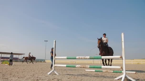 Feminino jockey monta cavalo na arena de parkour ao ar livre, treinamento salto obstáculo — Vídeo de Stock