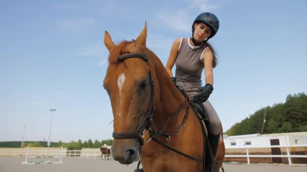 Female jockey horseback caresses brown horse, rider stroking and hugging horse — Stock Video