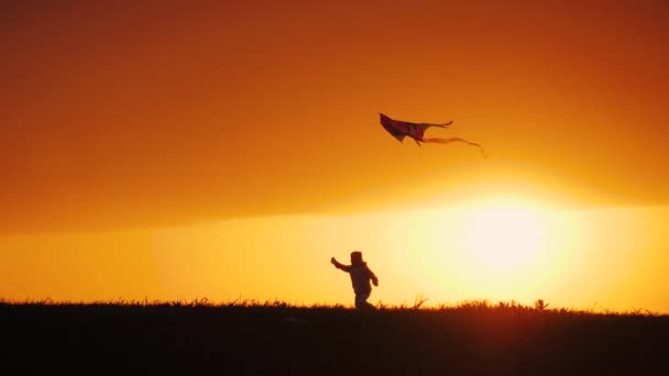 Silhueta de pipa de lançamento menina, correndo através do campo ao pôr do sol — Vídeo de Stock