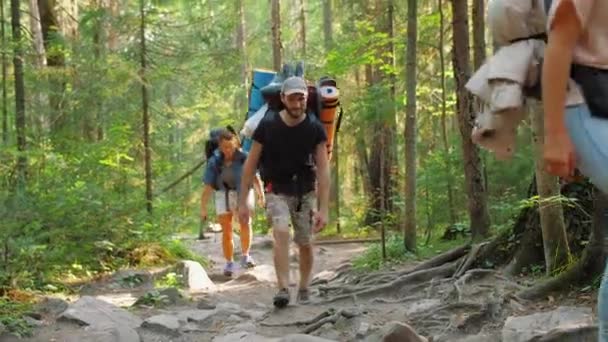 Group of tourists with backpacks and equipment walking forest trail — Stock Video