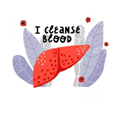 Karaciğer sağlık denetimi afiş şablonu