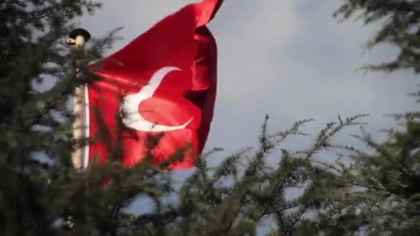 Bandera Turquía Turk Bayragi Vídeo — Vídeo de stock