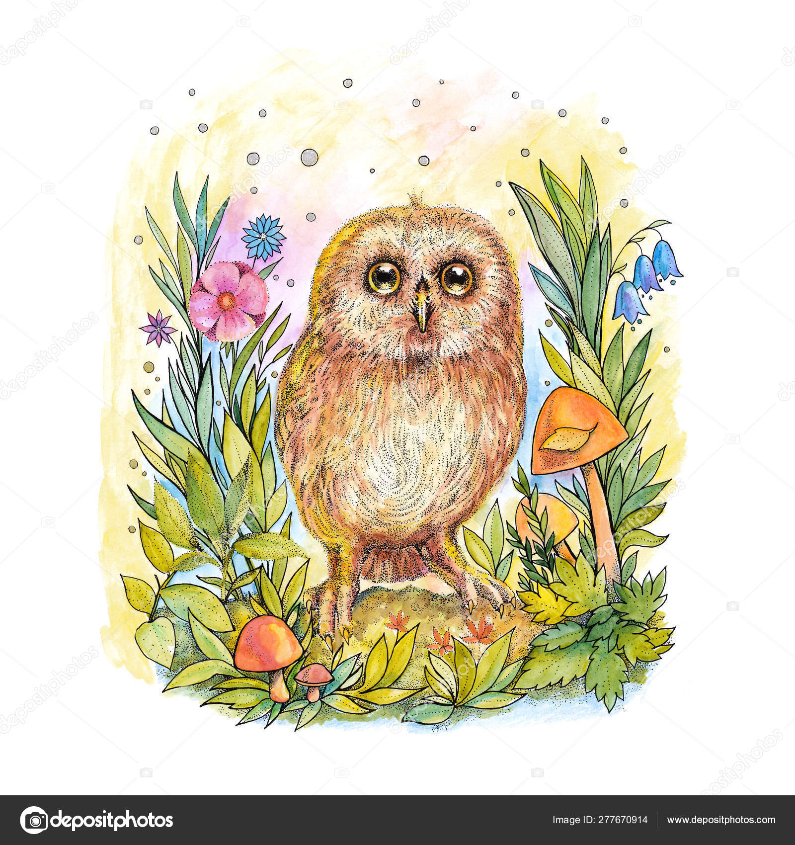 Watercolor Drawing Cute Owl With Big Eyes Stock Photo C Vensk