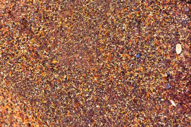 Tatlı çeşnili fındık