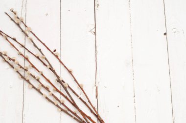 Beyaz ahşap zemin üzerinde kabarık kedicikler ile a demet-in Kukum kaynaklanıyor.