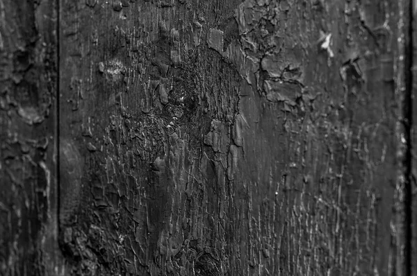 빈티지 나무 배경입니다. 오래 된 나무 — 스톡 사진