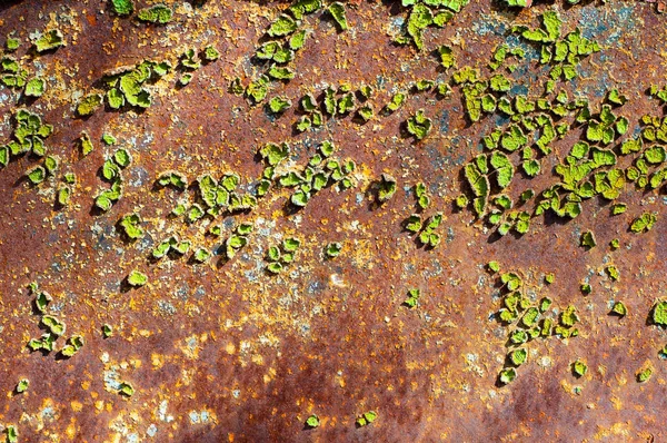 Rust on green metal.