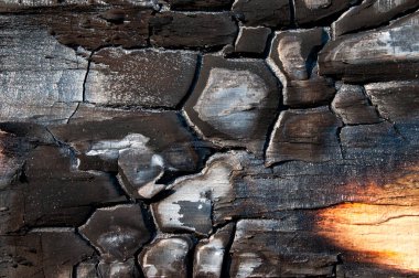 Yanmış Ahşap Doku. Arka plan