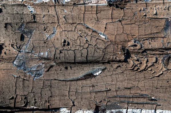 Текстура выжженного дерева. Фон — стоковое фото