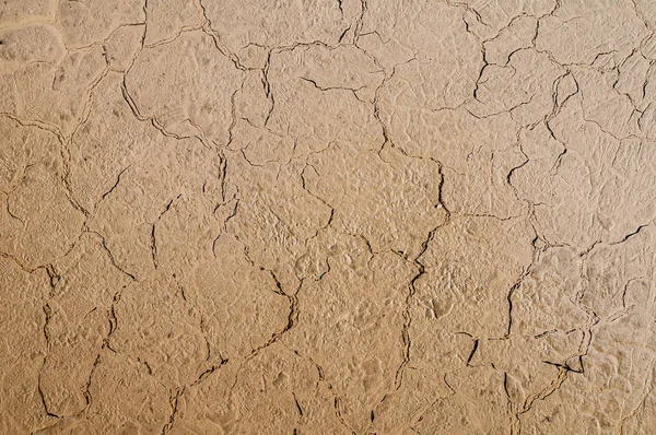 cracked dirt background. Texture