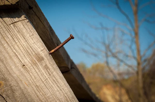 Rusty nail in wood against a blue sky