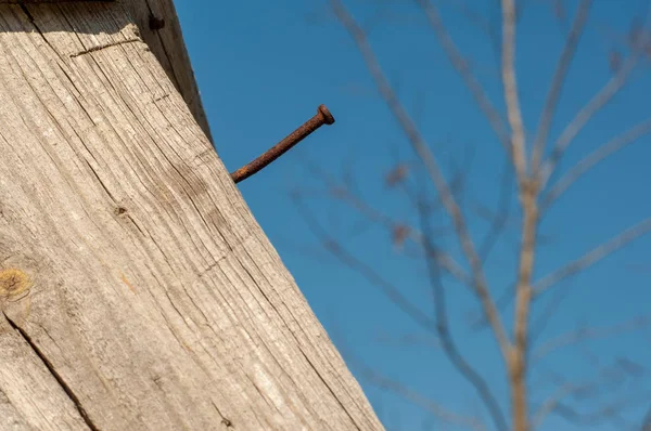 Rusty nail in wood against a blue sky