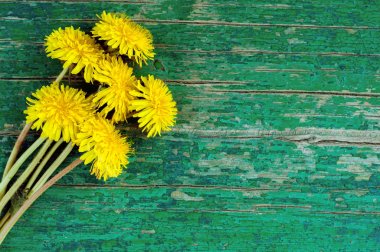 Yeşil ahşap arka plan üzerinde karahindiba buketi