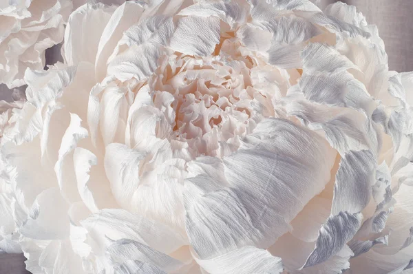 Large Paper Flowers. Big white peony. Pastel floral background pattern. Flower made from corrugated paper
