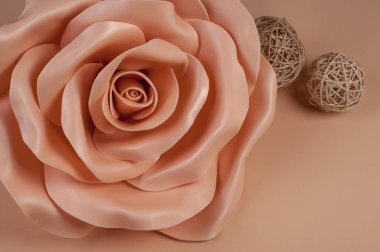 Pembe bir arka plan üzerinde Eva köpük büyük pembe gül. Kopyalama alanı