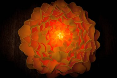 Büyük turuncu çiçek - karanlık bir arka plan üzerinde Eva köpük lamba