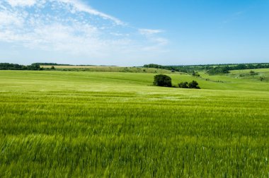 güzel mavi gökyüzü ile alan