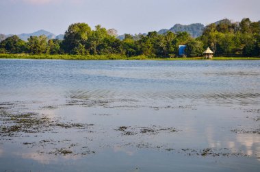 Reservoir güzel sahne
