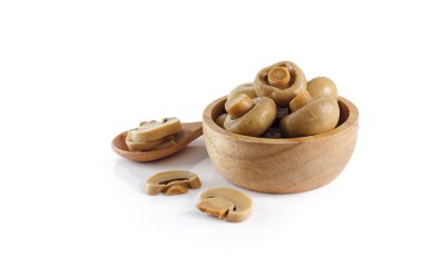 Efible mantar - kase butonu mantar beyaz arka plan üzerinde