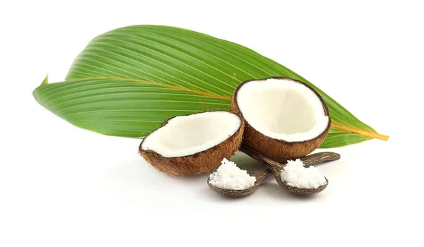 Coco de intervalo fresco - fruta tropical e folhas no fundo branco — Fotografia de Stock