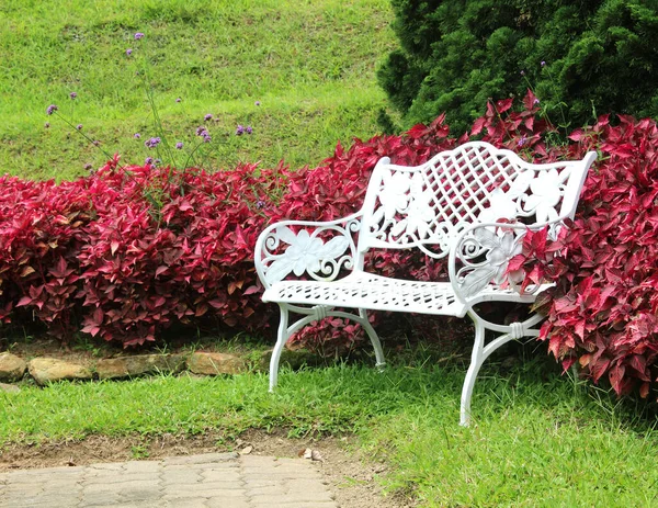 White Chairs Garden — Stock Photo, Image