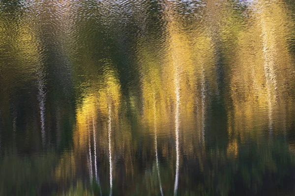 Odbicie Jesiennych Drzew Wodzie Jeziora Jesienne Tło — Zdjęcie stockowe