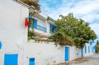 Akdeniz mimari tarzında dar bir sokakta mavi ve beyaz pencereler ve kapılar. Tunus