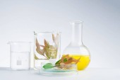 bylinná medicína přírodní organický a vědecký výzkum skla