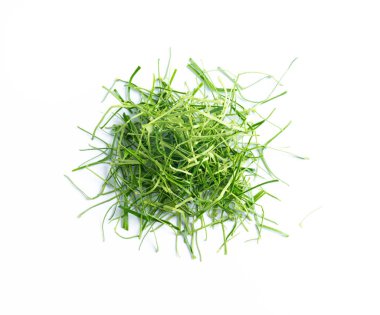 Güney Afrika'da bir kabile kireç yaprakları beyaz arka plan üzerinde slayt