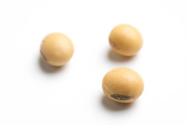 soya fasulye-beyaz masaya yakından